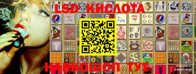 apvp Камышлов