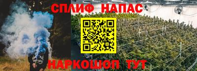apvp Камышлов