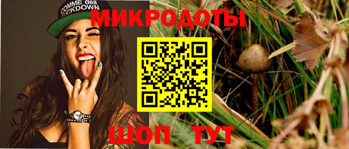 Галлюциногенные грибы прущие грибы Дагестанские Огни